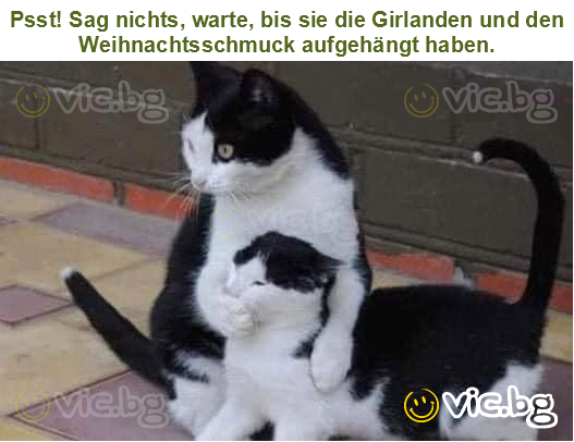 Psst! Sag nichts, warte, bis sie die Girlanden und den Weihnachtsschmuck aufgehängt haben.