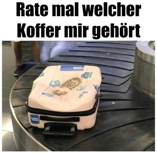 Rate mal welcher Koffer mir gehört _
