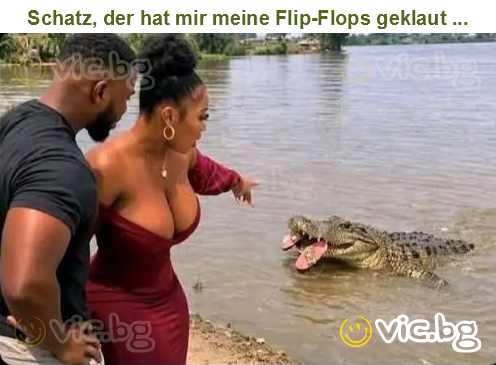 Schatz, der hat mir meine Flip-Flops geklaut ...