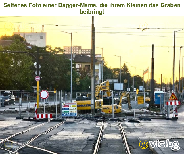 Seltenes Foto einer Bagger-Mama, die ihrem Kleinen das Graben beibringt