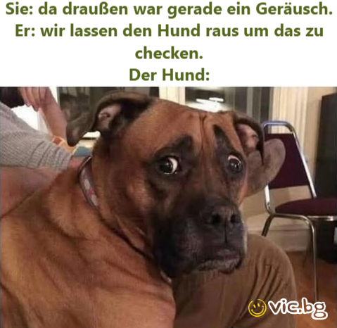Sie: da draußen war gerade ein Geräusch. Er: wir lassen den Hund raus um das zu checken. Der Hund: