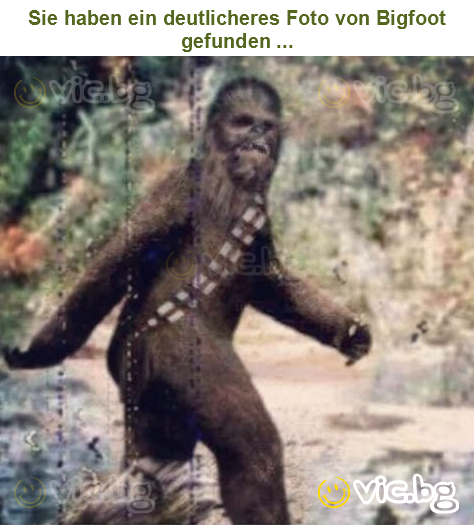 Sie haben ein deutlicheres Foto von Bigfoot gefunden ...