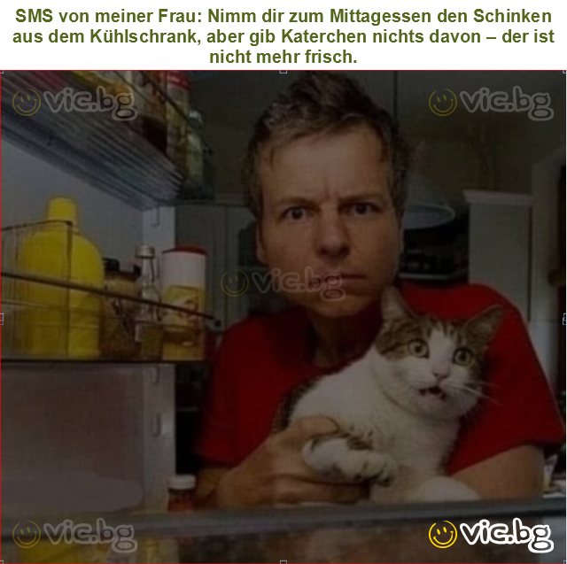 SMS von meiner Frau: Nimm dir zum Mittagessen den Schinken aus dem Kühlschrank, aber gib Katerchen nichts davon – der ist nicht mehr frisch.