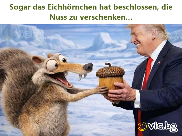 Sogar das Eichhörnchen hat beschlossen, die Nuss zu verschenken…