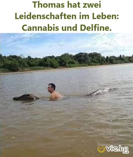 Thomas hat zwei Leidenschaften im Leben: Cannabis und Delfine.
