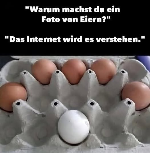 "Warum machst du ein Foto von Eiern?" "Das Internet wird es verstehen."