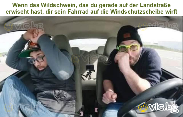 Wenn das Wildschwein, das du gerade auf der Landstraße erwischt hast, dir sein Fahrrad auf die Windschutzscheibe wirft