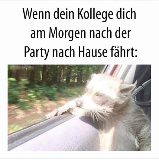 Wenn dein Kollege dich am Morgen nach der Party nach Hause fährt: