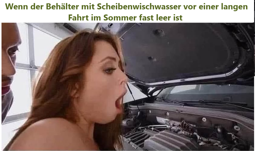 Wenn der Behälter mit Scheibenwischwasser vor einer langen Fahrt im Sommer fast leer ist   
