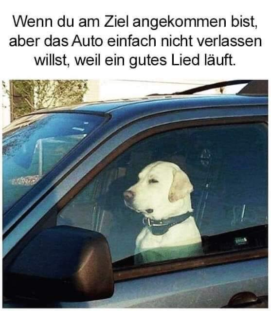 Wenn du am Ziel angekommen bist, aber das Auto einfach niсhт verlassen willst, weil ein gutes Lied läuft.