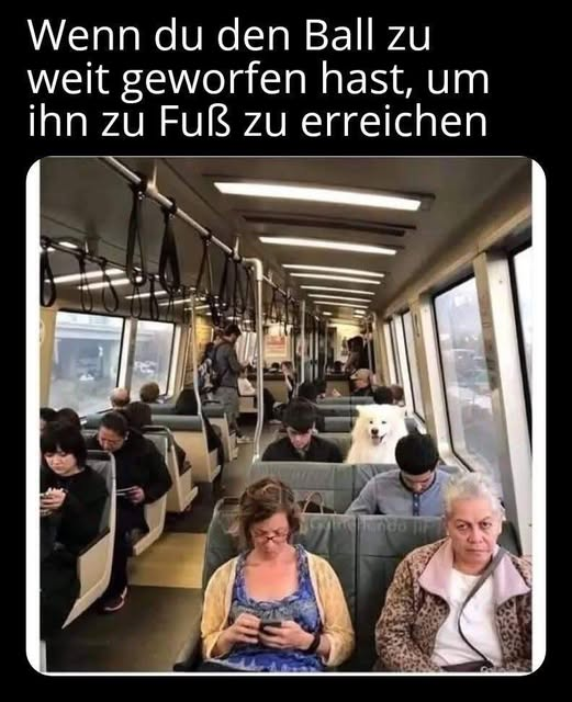 Wenn du den Ball zu weit geworfen hast, um ihn zu Fuß zu erreichen