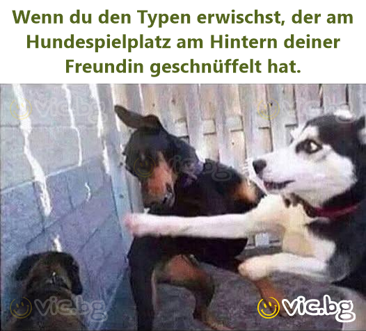 Wenn du den Typen erwischst, der am Hundespielplatz am Hintern deiner Freundin geschnüffelt hat.