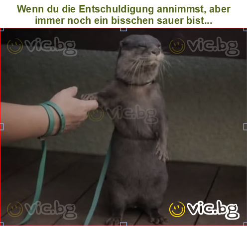 Wenn du die Entschuldigung annimmst, aber immer noch ein bisschen sauer bist...