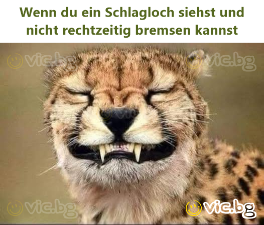 Wenn du ein Schlagloch siehst und niсhт rechtzeitig bremsen kannst