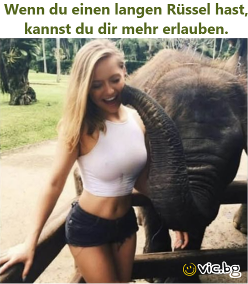 Wenn du einen langen Rüssel hast, kannst du dir mehr erauben,