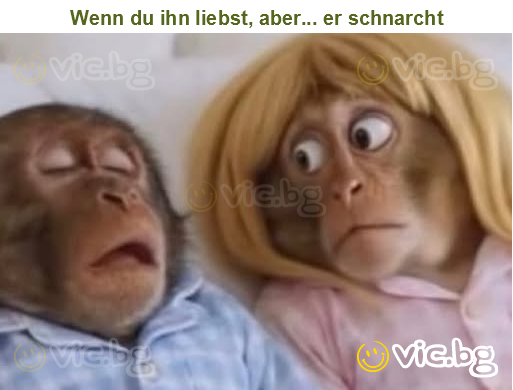 Wenn du ihn liebst, aber... er schnarcht
