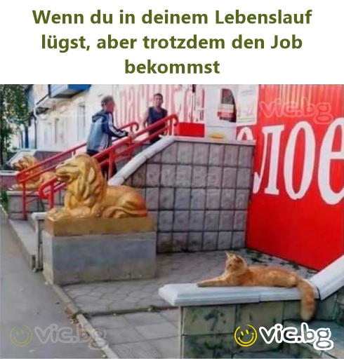 Wenn du in deinem Lebenslauf lügst, aber trotzdem den Job bekommst