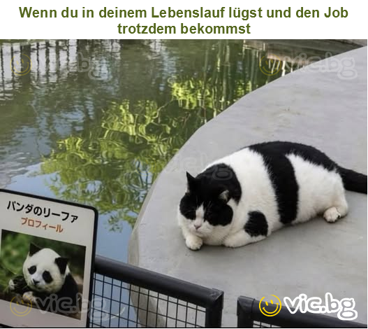 Wenn du in deinem Lebenslauf lügst und den Job trotzdem bekommst