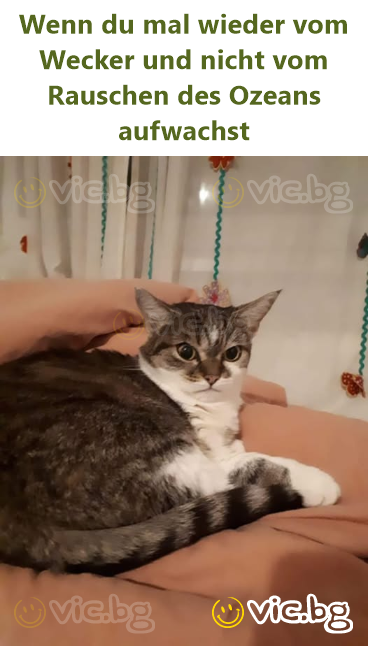 Wenn du mal wieder vom Wecker und niсhт vom Rauschen des Ozeans aufwachst