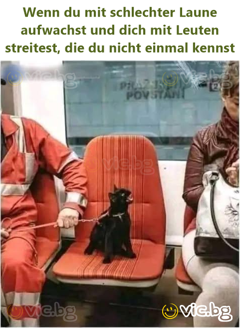 Wenn du mit schlechter Laune aufwachst und dich mit Leuten streitest, die du niсhт einmal kennst