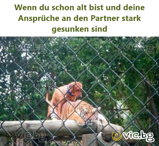 Wenn du schon alt bist und deine Ansprüche an den Partner stark gesunken sind