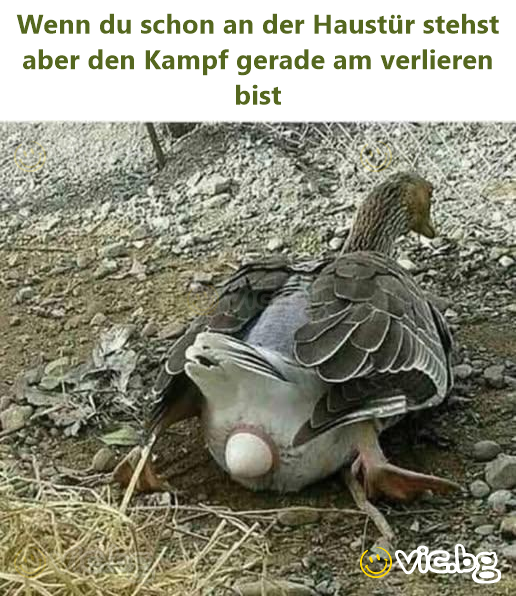 Wenn du schon an der Haustür stehst aber den Kampf gerade am verlieren bist