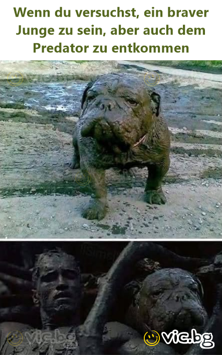 Wenn du versuchst, ein braver Junge zu sein, aber auch dem Predator zu entkommen