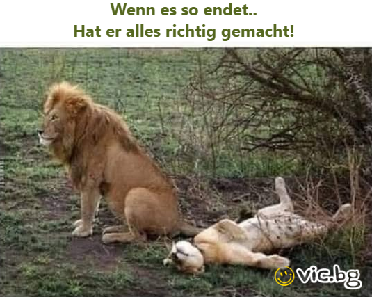 Wenn es so endet.. Hat er alles richtig gemacht!
