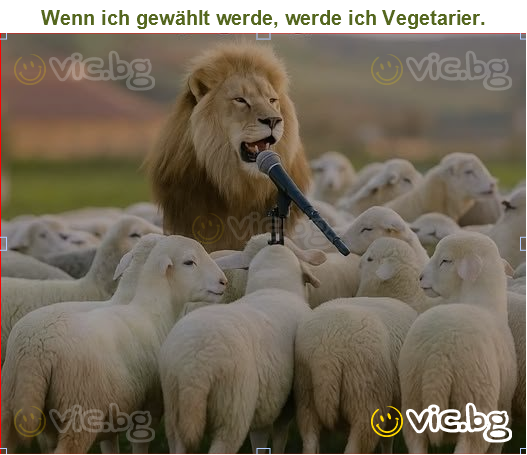 Wenn ich gewählt werde, werde ich Vegetarier.