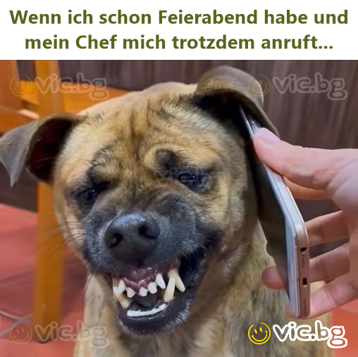 Wenn ich schon Feierabend habe und mein Chef mich trotzdem anruft...