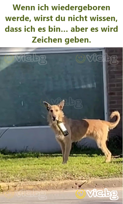 Wenn ich wiedergeboren werde, wirst du niсhт wissen, dass ich es bin… aber es wird Zeichen geben.