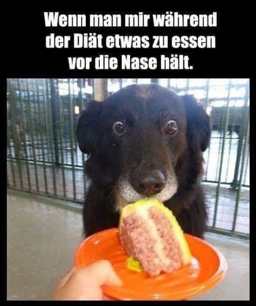 Wenn man mir während der Diät etwas zu essen vor die Nase hält.