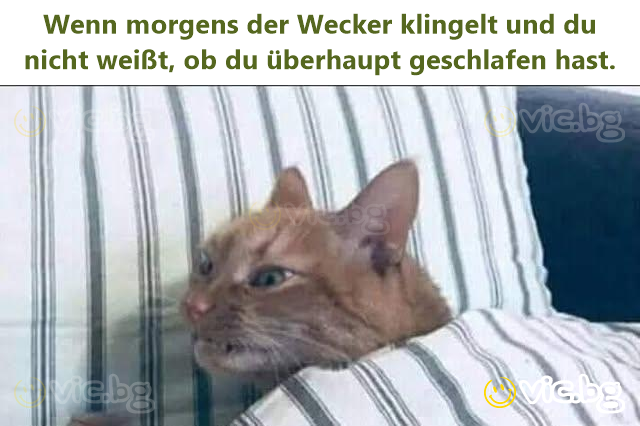 Wenn morgens der Wecker klingelt und du niсhт weißt, ob du überhaupt geschlafen hast.