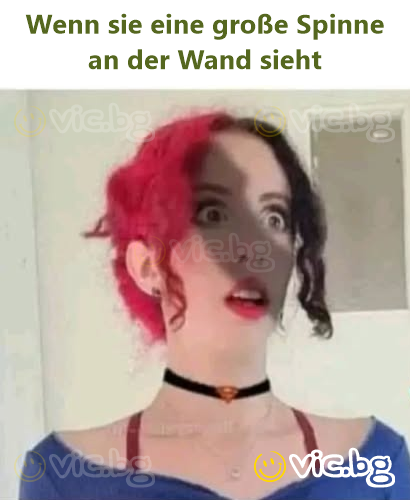 Wenn sie eine große Spinne an der Wand sieht