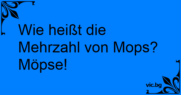 Wie heißt die Mehrzahl von Mops? Möpse! Wie heißt die Mehrzahl von Mops? Möpse!