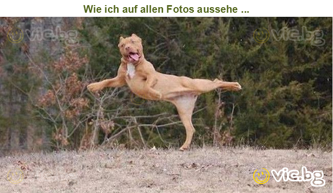 Wie ich auf allen Fotos aussehe ...