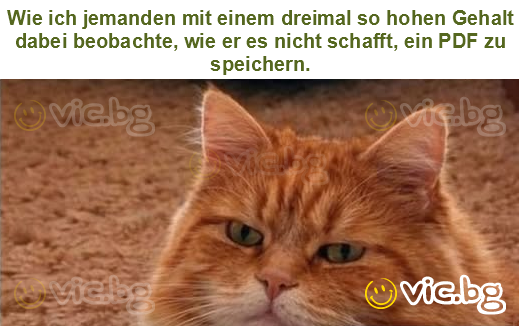 Wie ich jemanden mit einem dreimal so hohen Gehalt dabei beobachte, wie er es nicht schafft, ein PDF zu speichern.