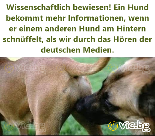 Wissenschaftlich bewiesen! Ein Hund bekommt mehr Informationen, wenn er einem anderen Hund am Hintern schnüffelt, als wir durch das Hören der deutschen Medien.