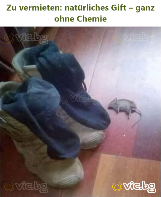 Zu vermieten: natürliches Gift – ganz ohne Chemie