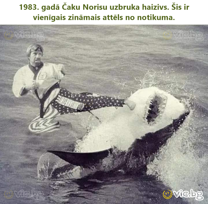 1983. gadā Čaku Norisu uzbruka haizivs. Šis ir vienīgais zināmais attēls no notikuma.