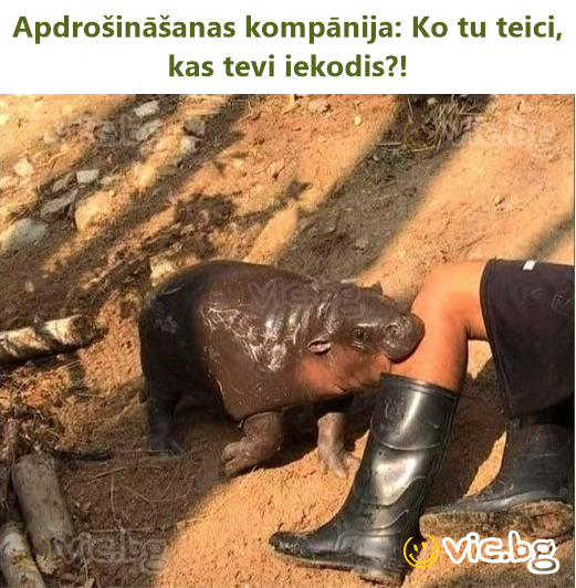 Apdrošināšanas kompānija: Ko tu teici, kas tevi iekodis?!