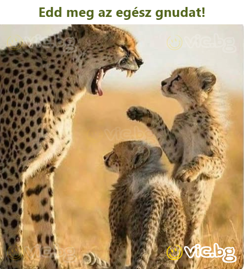 Apēd visu savu gnu!