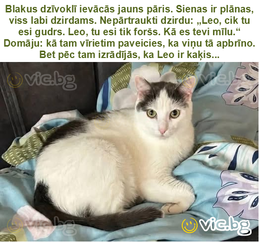 Blakus dzīvoklī ievācās jauns pāris. Sienas ir plānas, viss labi dzirdams. Nepārtraukti dzirdu: „Leo, cik tu esi gudrs. Leo, tu esi tik foršs. Kā es tevi mīlu.“ Domāju: kā tam vīrietim paveicies, ka...