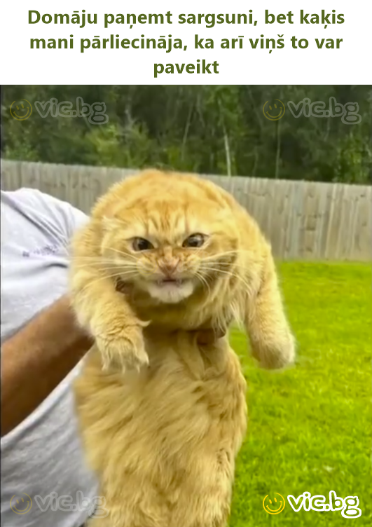 Domāju paņemt sargsuni, bet kaķis mani pārliecināja, ka arī viņš to var paveikt