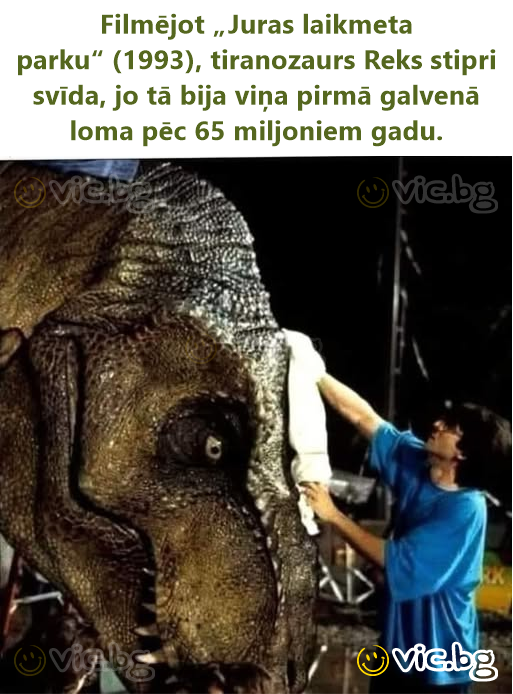 Filmējot „Juras laikmeta parku“ (1993), tiranozaurs Reks stipri svīda, jo tā bija viņa pirmā galvenā loma pēc 65 miljoniem gadu.