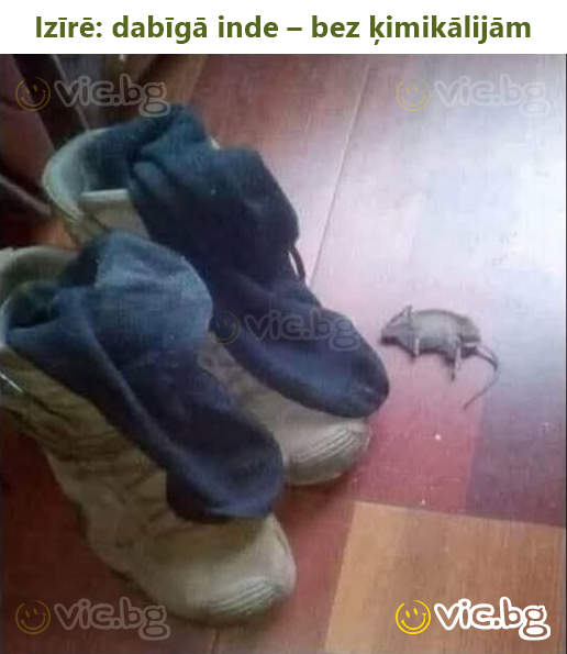 Izīrē: dabīgā inde – bez ķimikālijām