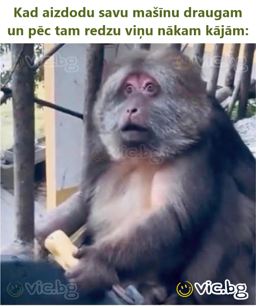 Kad aizdodu savu mašīnu draugam un pēc tam redzu viņu nākam kājām: