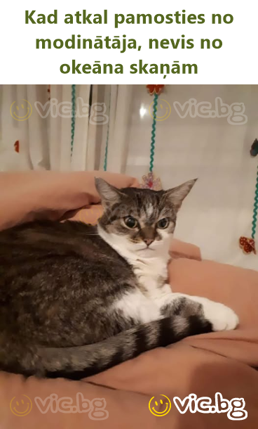 Kad atkal pamosties no modinātāja, nevis no okeāna skaņām