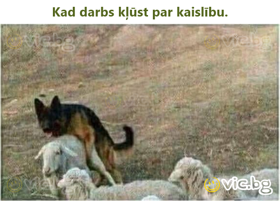 Kad darbs kļūst par kaislību.