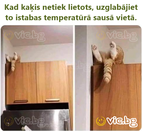 Kad kaķis netiek lietots, uzglabājiet to istabas temperatūrā sausā vietā.